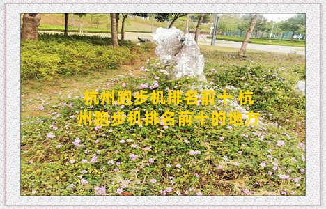 杭州跑步机排名前十 杭州跑步机排名前十的地方
